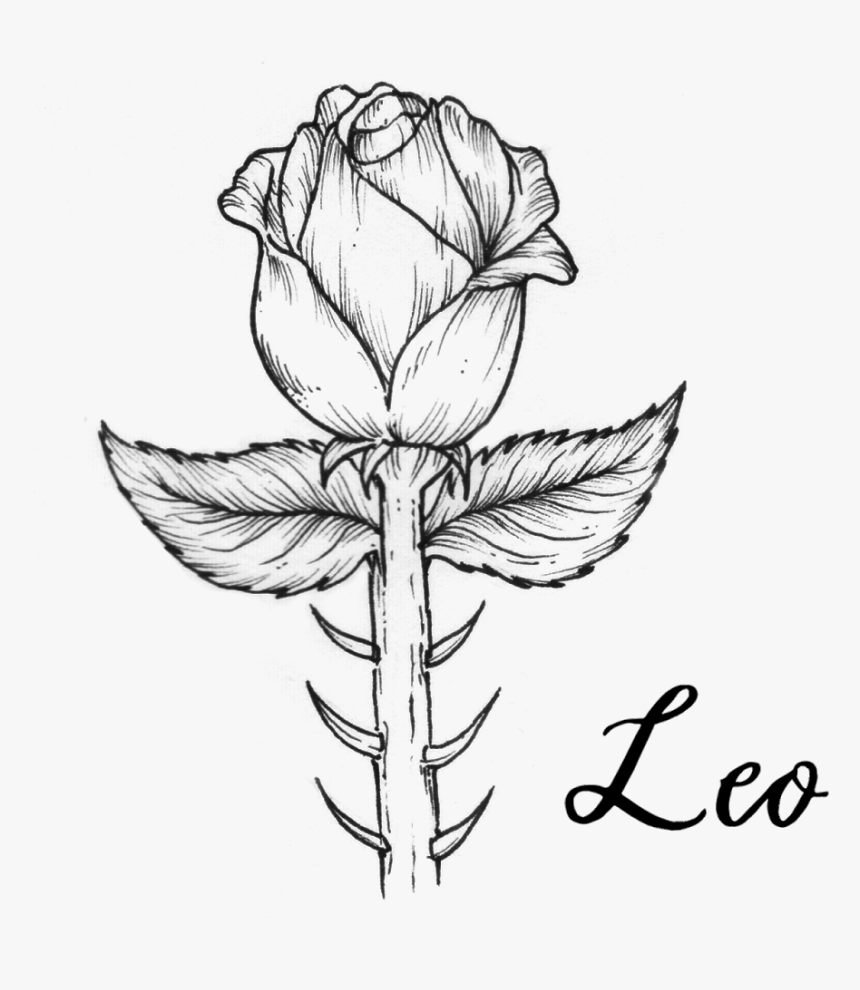 Line Art, HD Png Download