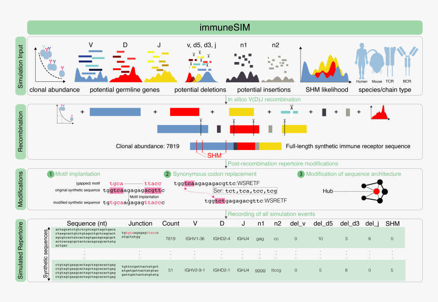 Screenshot, HD Png Download