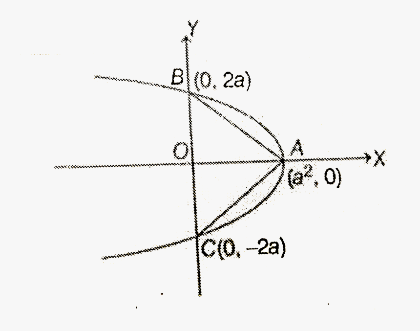 Diagram, HD Png Download