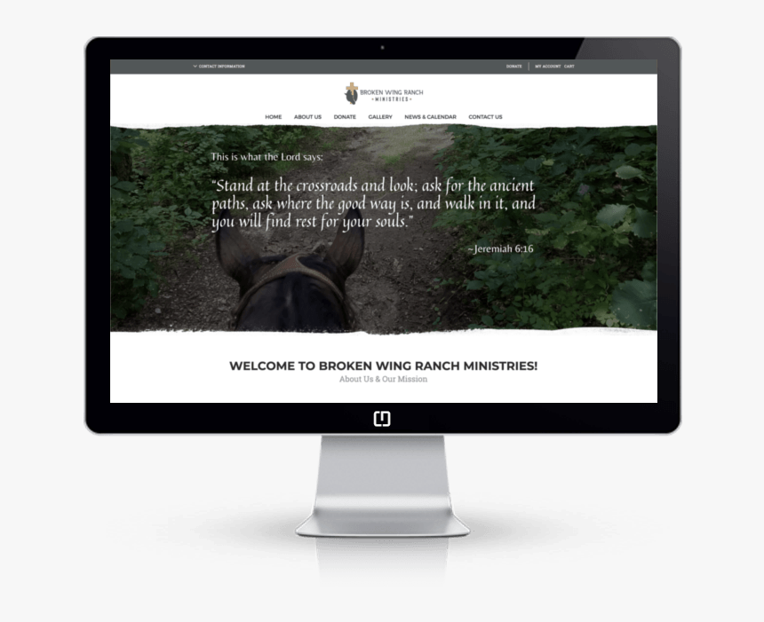 Wordpress Web Developer - Web Design, HD Png Download