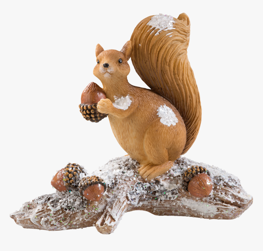 Squirrel With Acorns - Fox Squirrel, HD Png Download