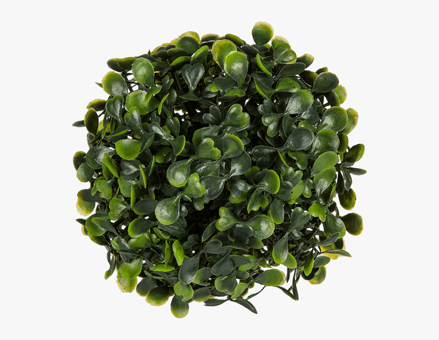 Bead, HD Png Download