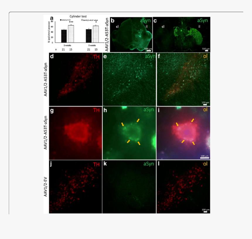 Screenshot, HD Png Download