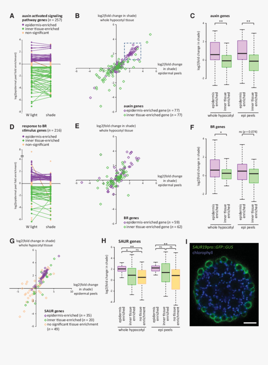 Screenshot, HD Png Download