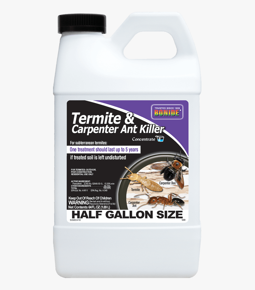 Carpenter Ant, HD Png Download