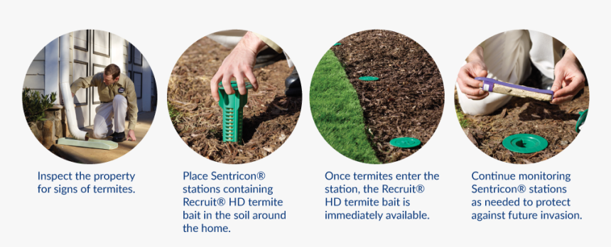Sentricon Termite Control 4 Step - Plantation, HD Png Download