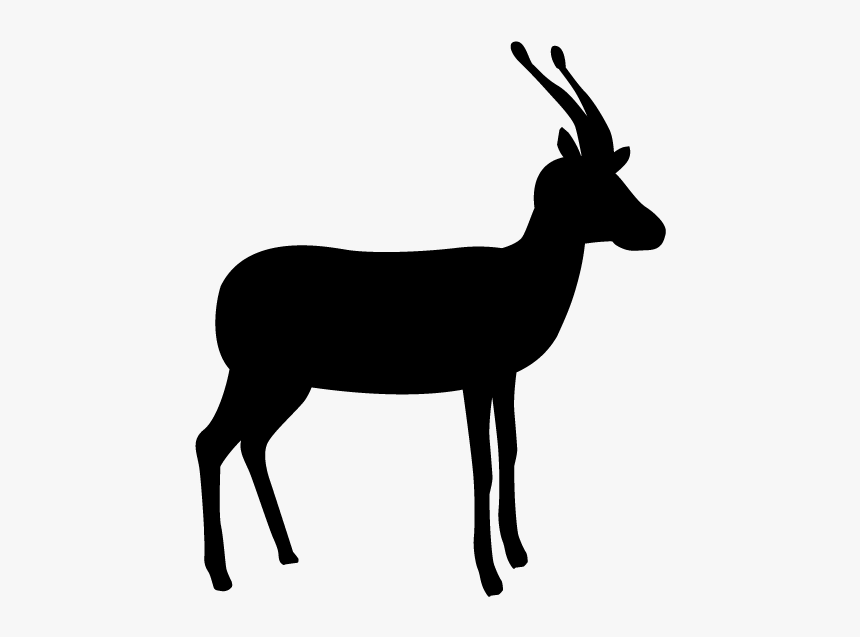 Deer Animal Silhouette Free - Silhouette Of A Deer, HD Png Download