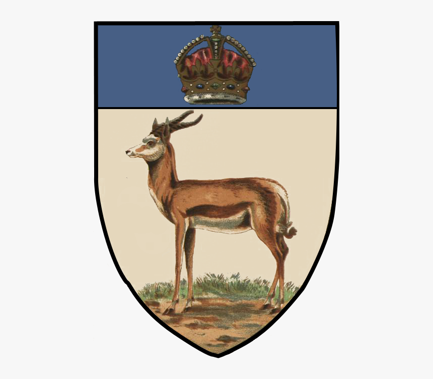 File - Orangerivercolonyarms - Orange River Colony Coat Of Arms, HD Png Download