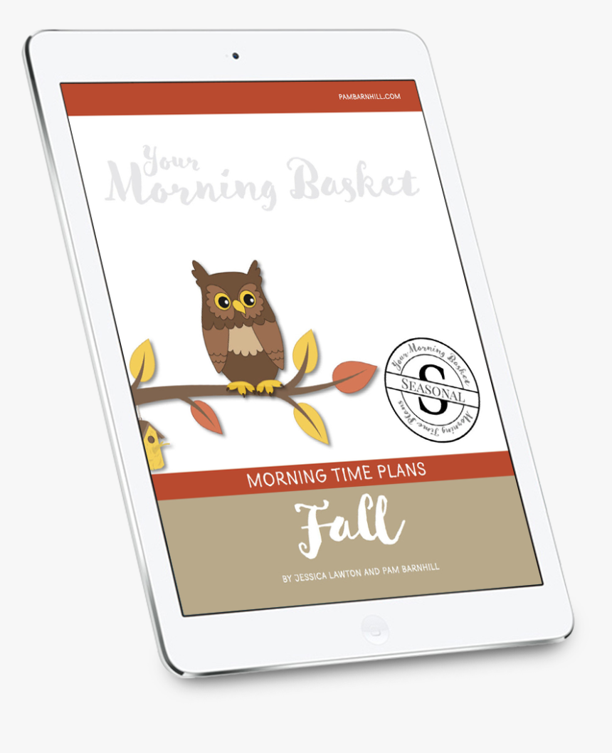 Morning Drawing Summer Season - Eastern Screech Owl, HD Png Download