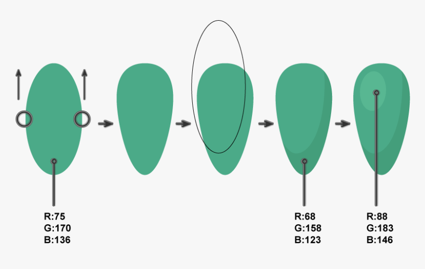 Drawing Cactus Small , Png Download - Circle, Transparent Png