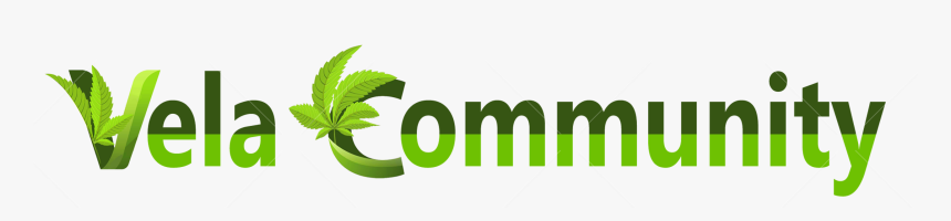 Vela Community - Graphic Design, HD Png Download
