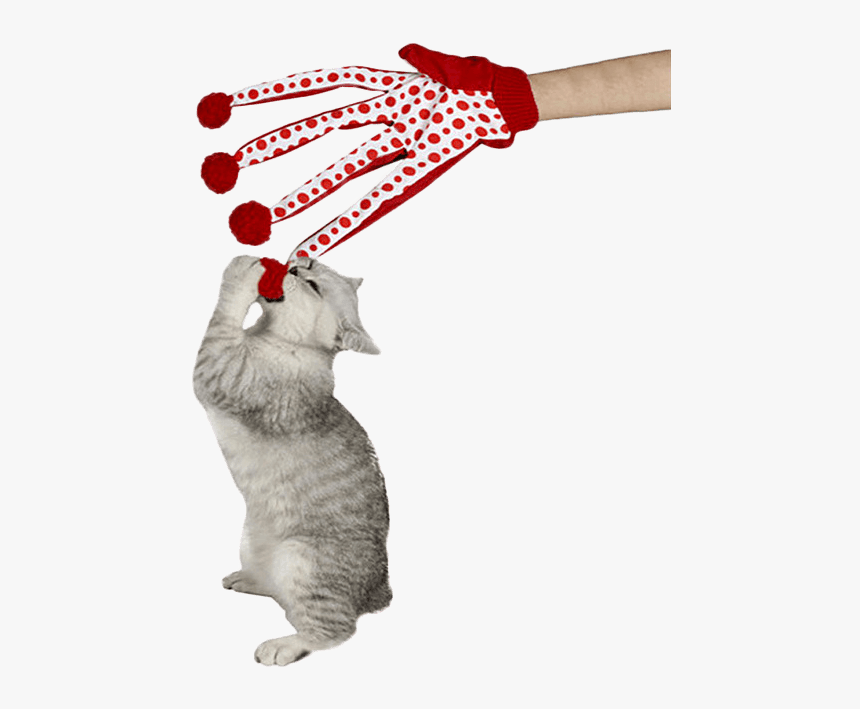 Long Finger Cat Toy, HD Png Download