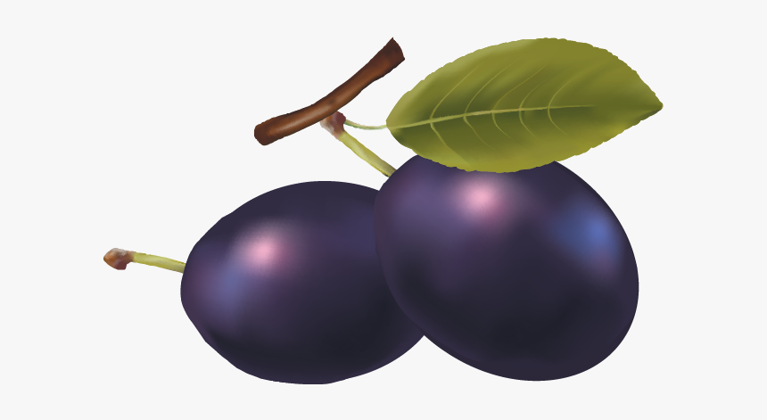 Beach Plum, HD Png Download
