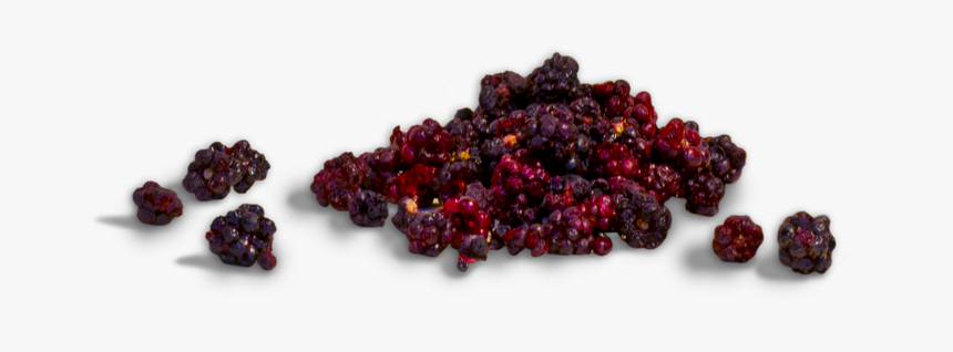 Frutti Di Bosco, HD Png Download
