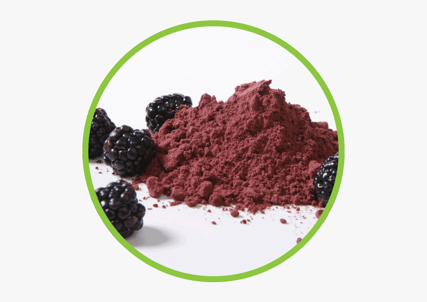 Blackberry Powder Circle - Powder Fruits, HD Png Download