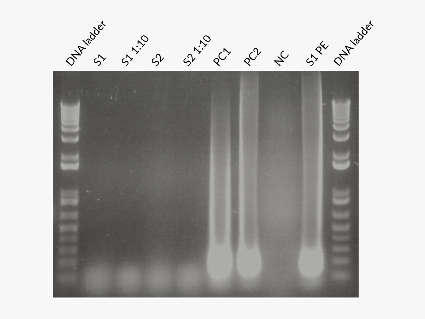 Plastic, HD Png Download