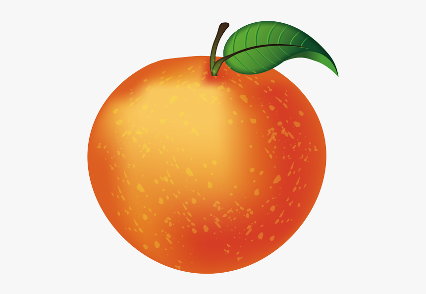 Seedless Fruit, HD Png Download