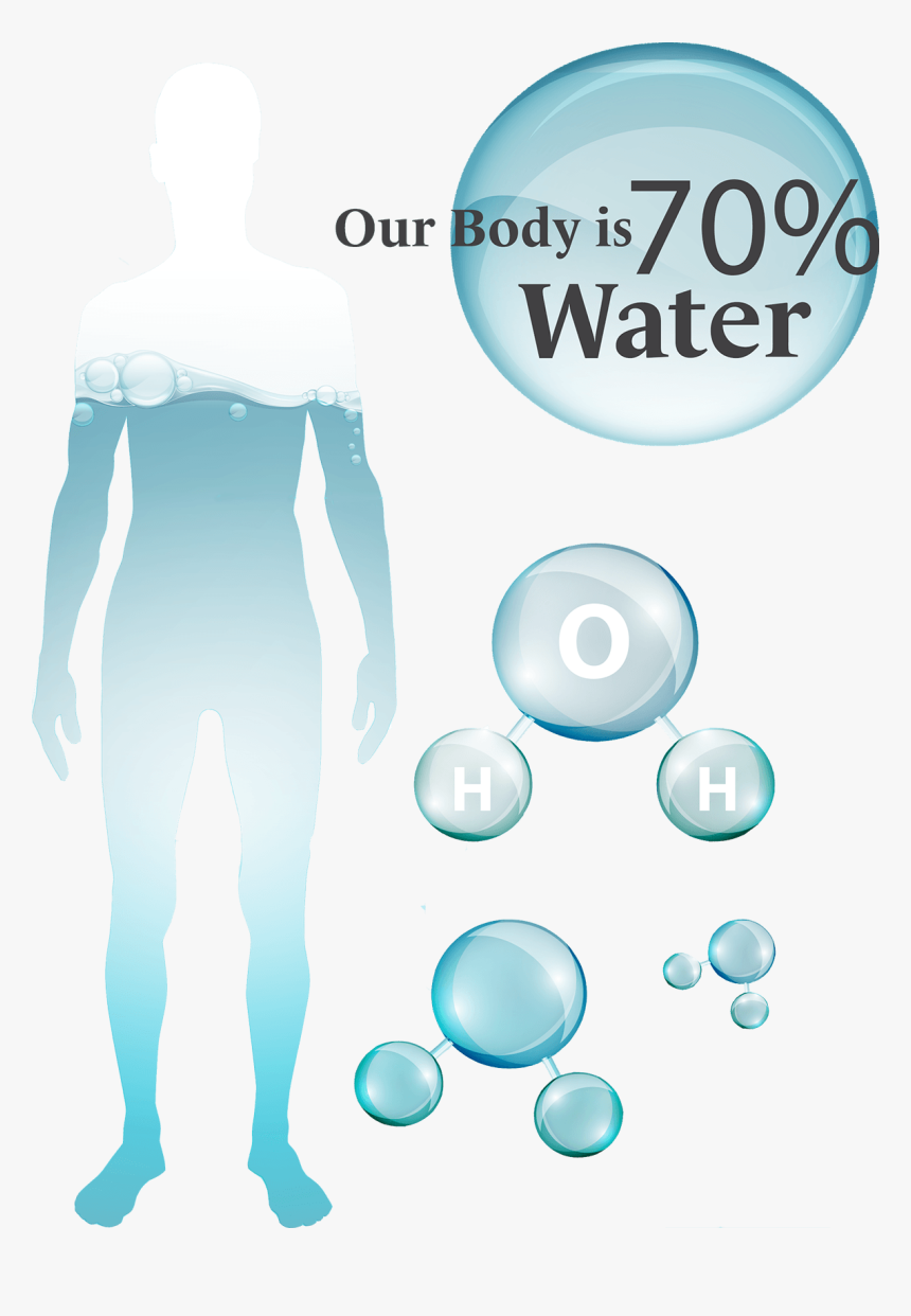 Transparent Blood In Water Png - Water Percent In Body Png, Png Download