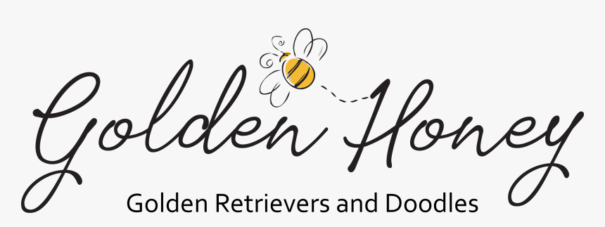 Calligraphy, HD Png Download