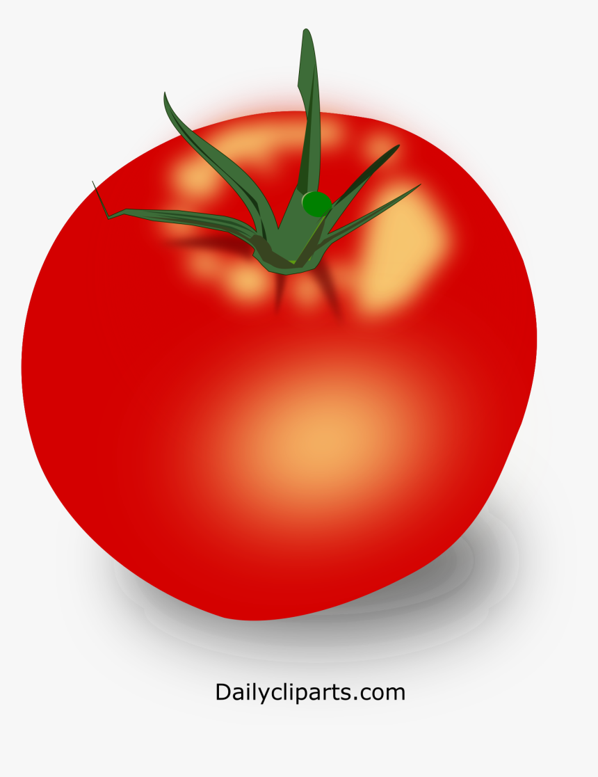 Plum Tomato, HD Png Download