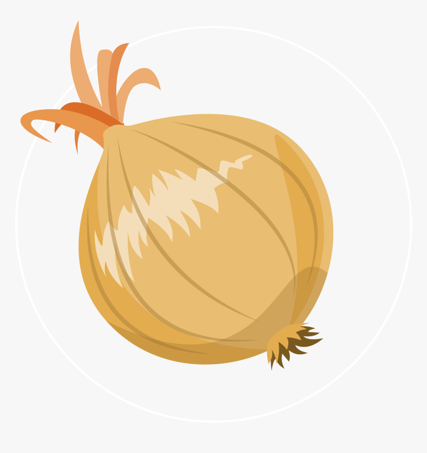 Onion-icon - Root Vegetable, HD Png Download