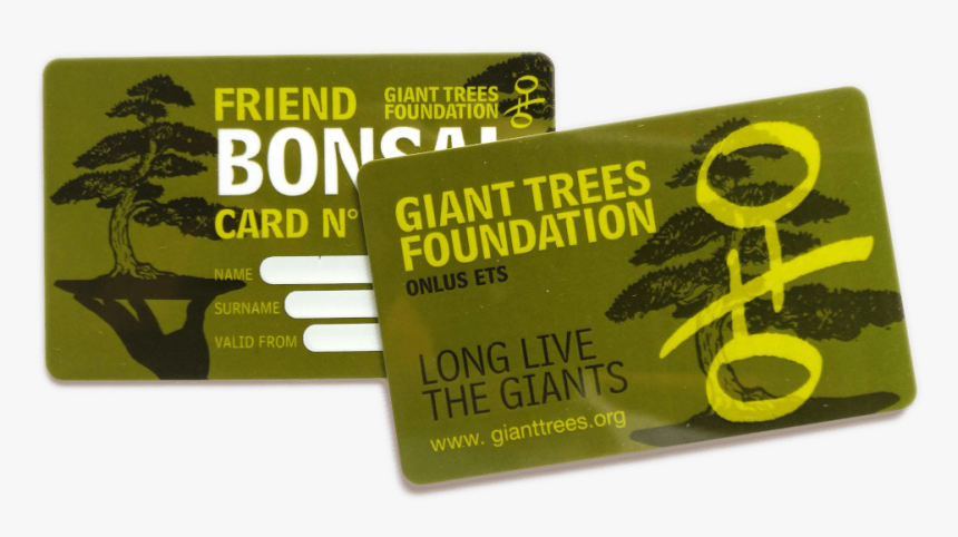 Placehold - Tree, HD Png Download