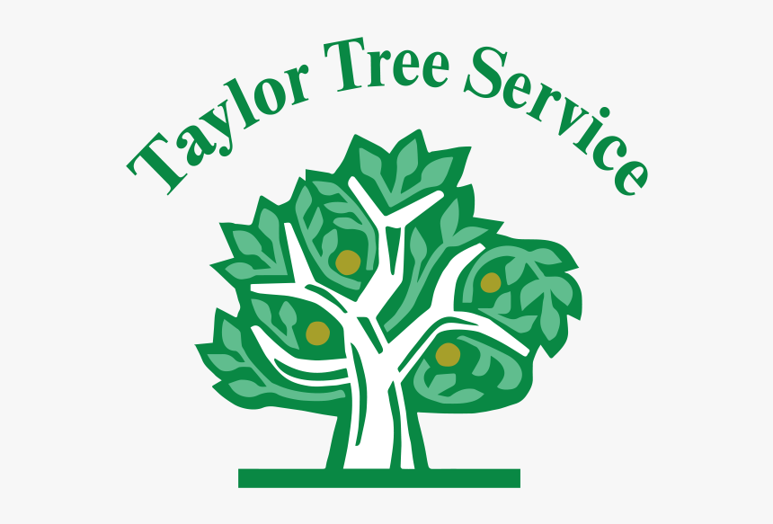 Taylor Tree Service, HD Png Download