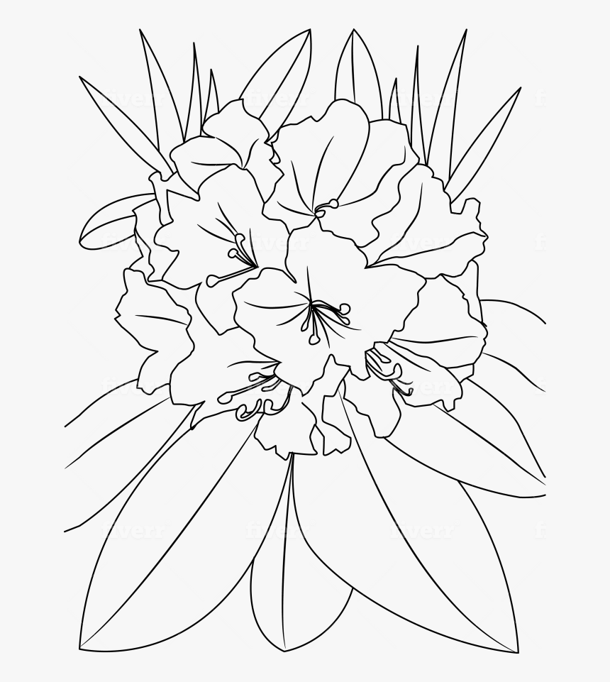 Line Art, HD Png Download
