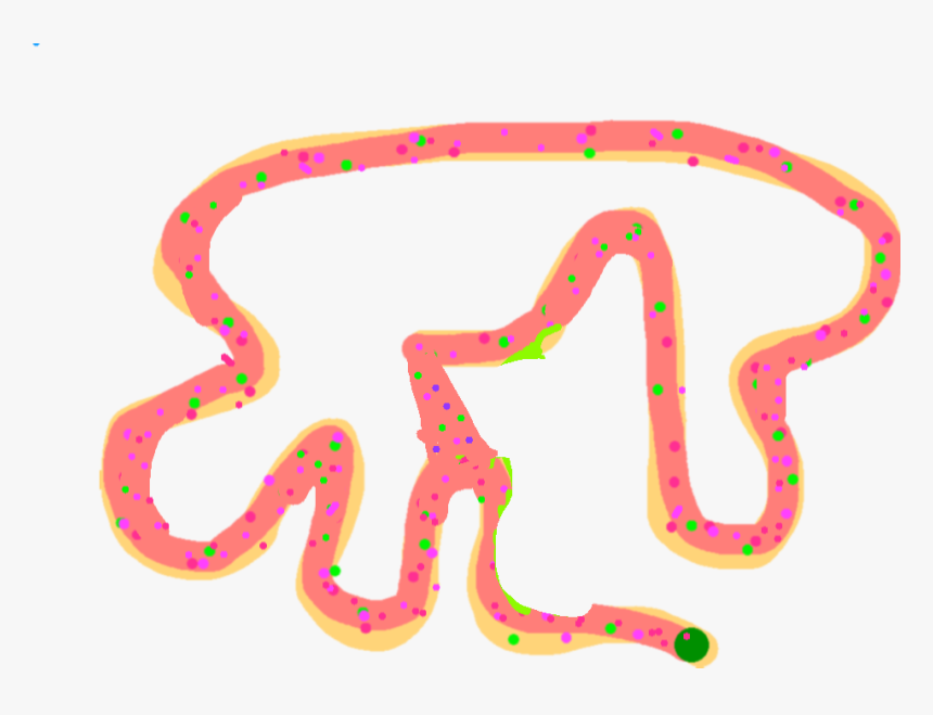 Colubridae, HD Png Download