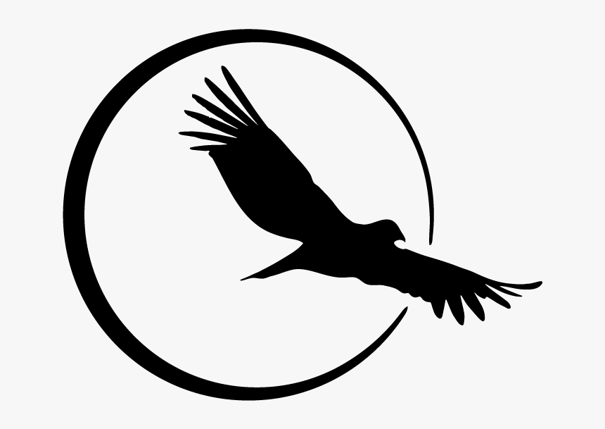 Andean Condor Png, Transparent Png