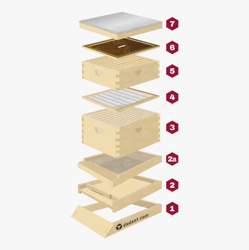 Components Of A Beehive By Dadant & Sons - Plywood, HD Png Download