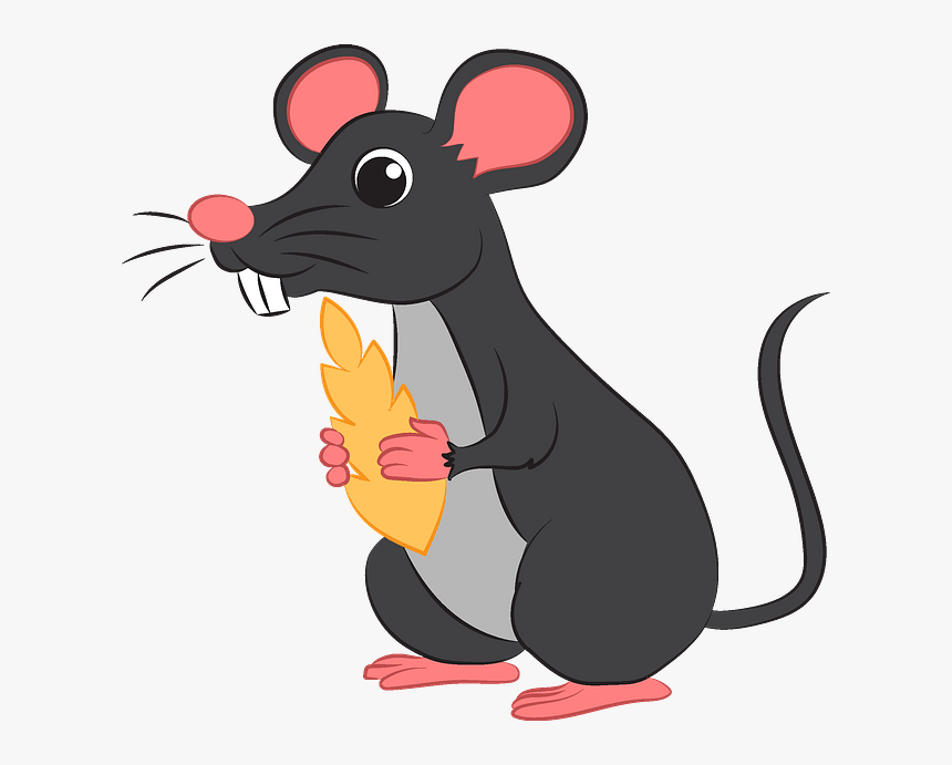 Cartoon, HD Png Download