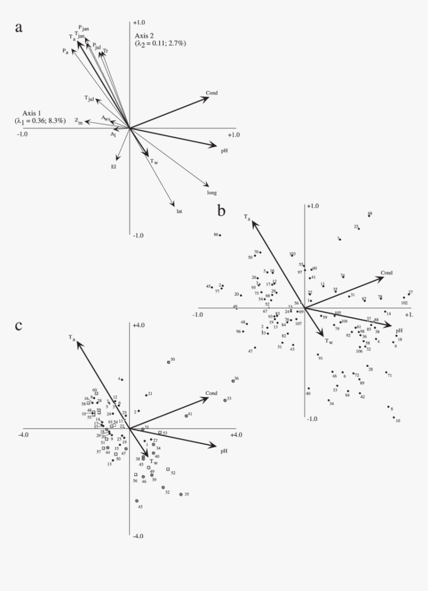 Diagram, HD Png Download