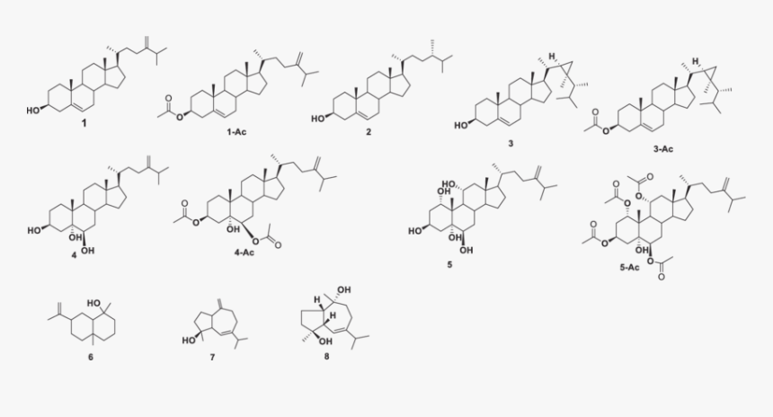 Apolipoprotein, HD Png Download