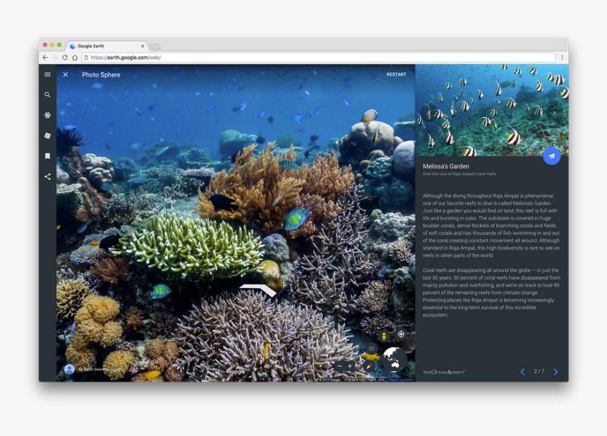 แนว ปะการัง น้ำ ตื้น เอเชีย ตะวันออก เฉียง ใต้, HD Png Download