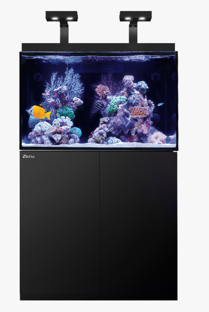 Red Sea Max E 260, HD Png Download