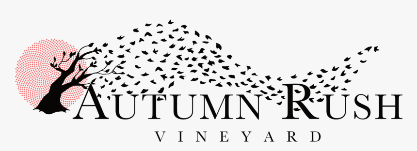 Picture, HD Png Download