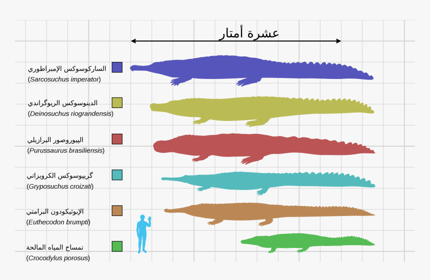 تمساح دينوسوكس, HD Png Download