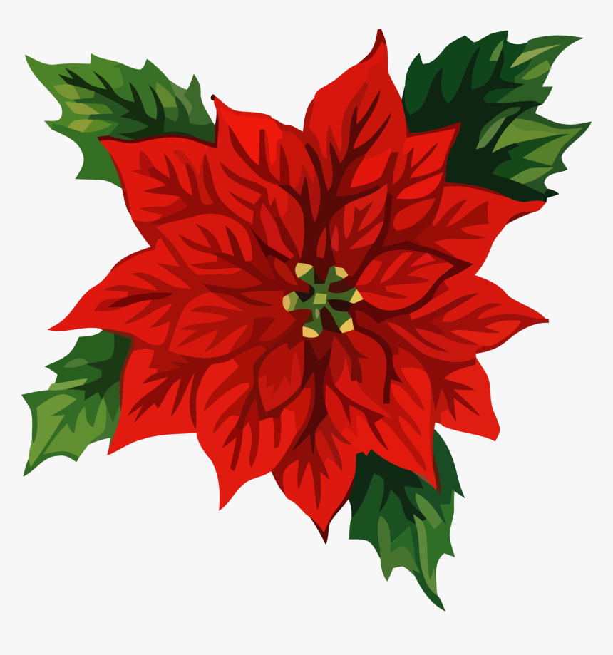 Christmas Front Flower Clipart Png - Free Christmas Clip Art, Transparent Png