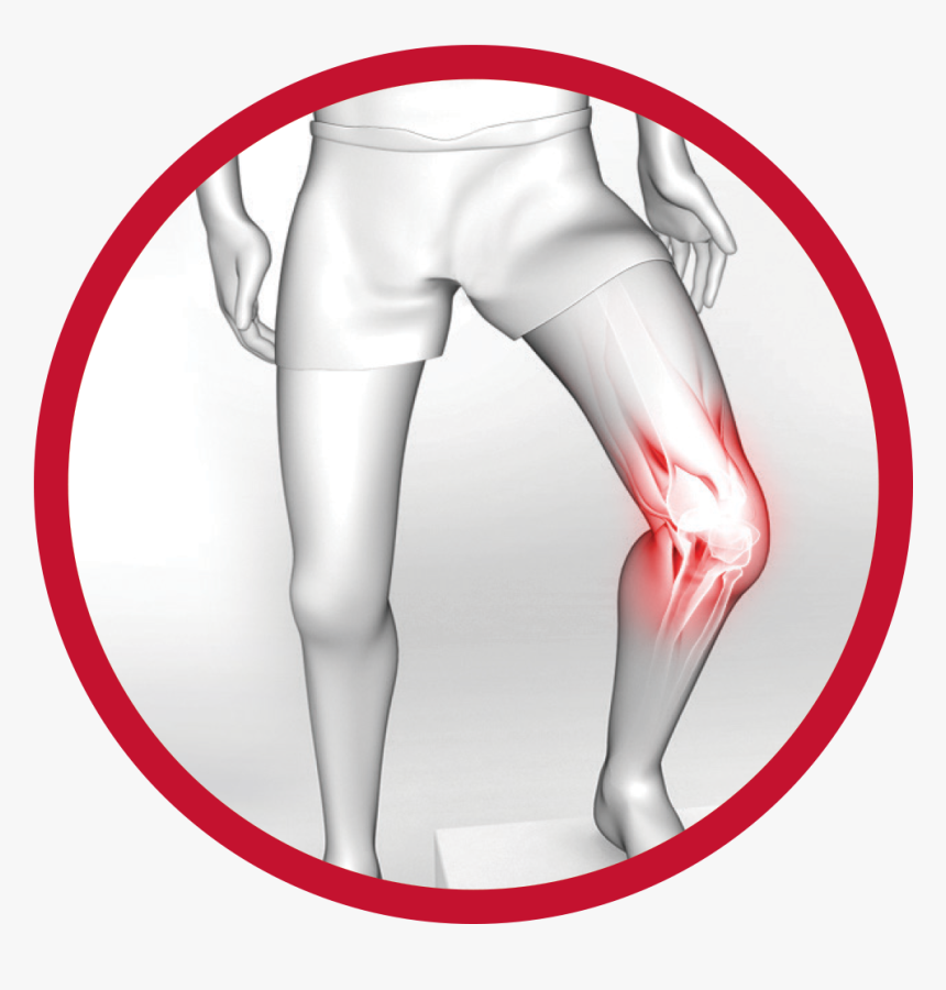 Knee Clipart Knee Cap, HD Png Download
