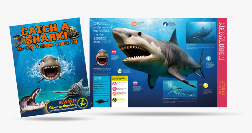 Great White Shark, HD Png Download