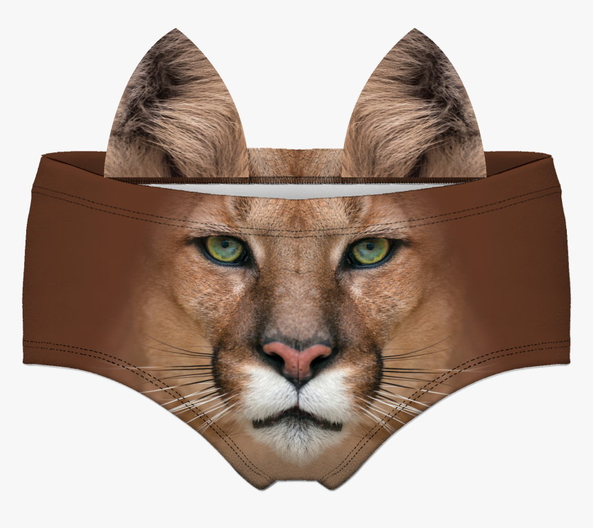 Womens Underwear 3d Printing Tiger Pattern Briefs 
 - Puma Eye Close Up, HD Png Download