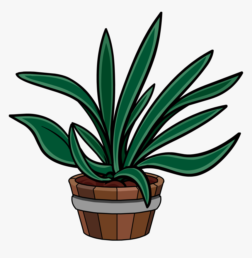 Club Penguin Rewritten Wiki - Agave, HD Png Download