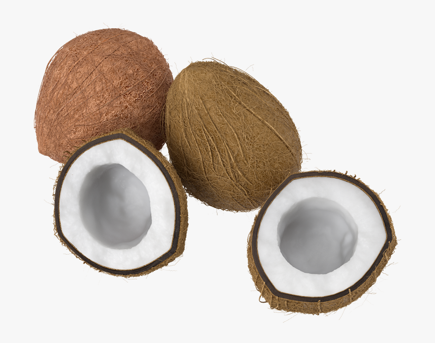 Percussion, HD Png Download
