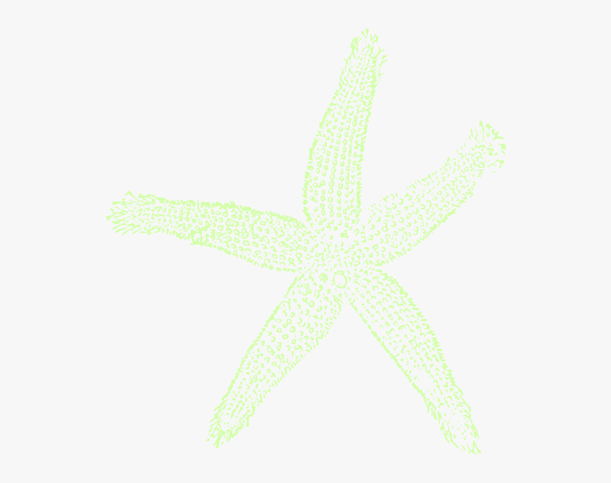 Single Starfish Clipart Png For Web - Fish Clip Art, Transparent Png