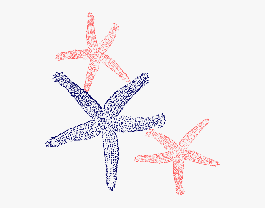 Starfish Prints Clip Art At Clker - Fish Clip Art, HD Png Download