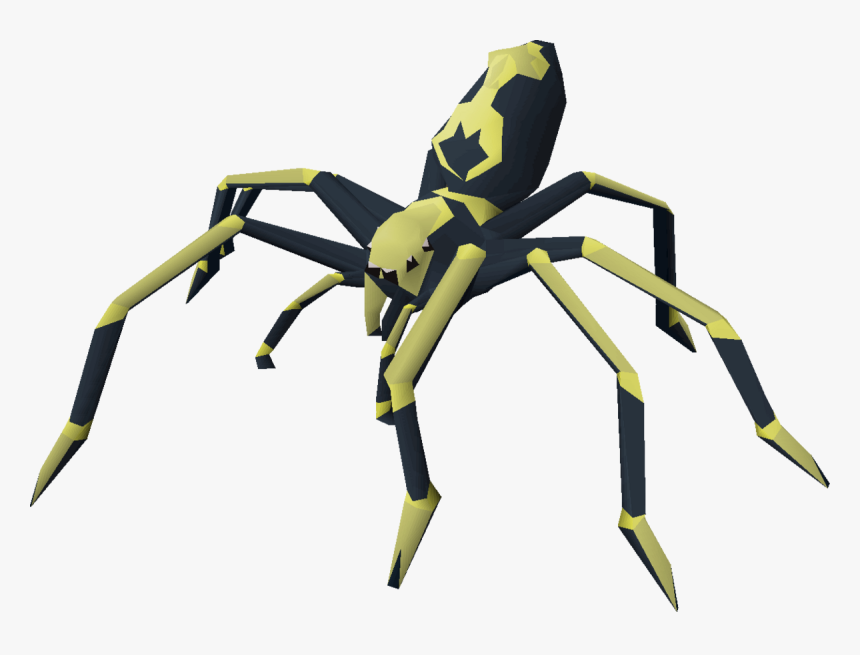 Araneus Cavaticus, HD Png Download