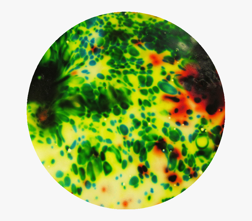 Circle, HD Png Download