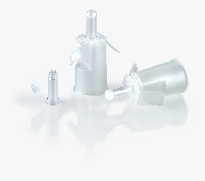 Still Life Photography, HD Png Download