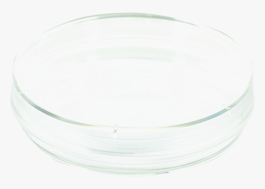 Bangle, HD Png Download